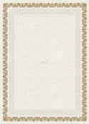 Dyplom arkady złote A4 170g Galeria Papieru (210717)