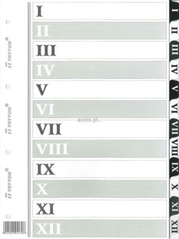 Przekładka numeryczna Tryton A4 biała 170g 12k I-XII (170)