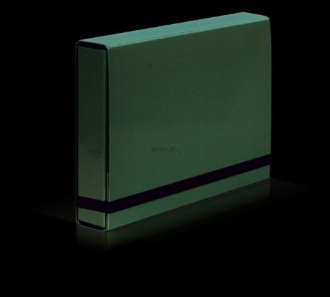 Teczka z szerokim grzbietem na gumkę CARIBIC BOX A4 zielony VauPe (341/06)