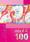 Papier kolorowy fluo A4 mix 80g Kreska