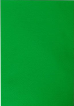Filc Titanum Craft-Fun Series A4 kolor: zielony ciemny 10 ark. [mm:] 210x297 (345154)