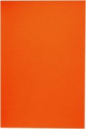 Filc Titanum Craft-Fun Series A4 kolor: pomarańczowy 10 ark. [mm:] 210x297 (016)